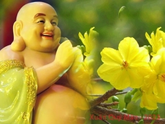 Xuân Quý Mão